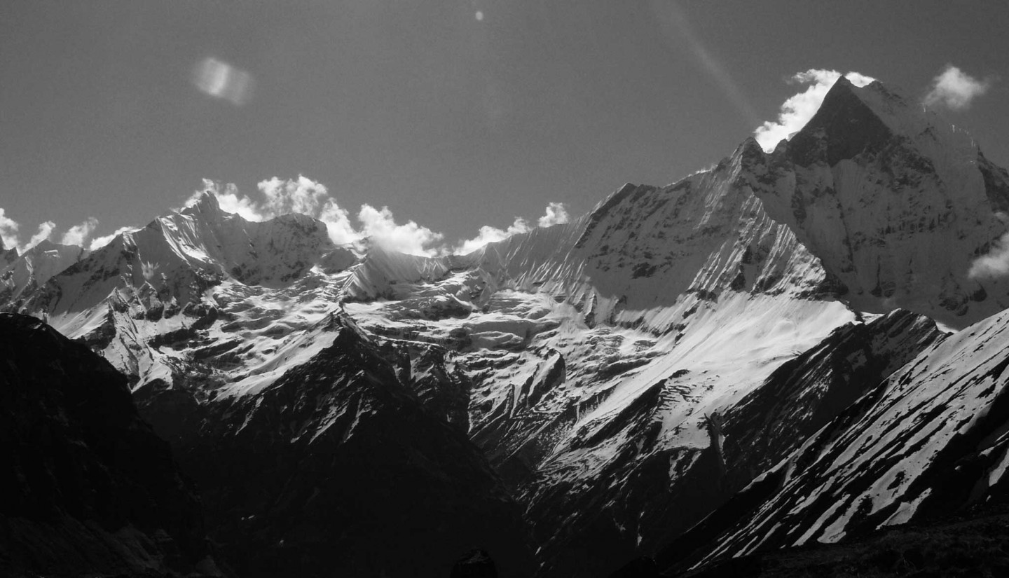 About TIMI Himalaya